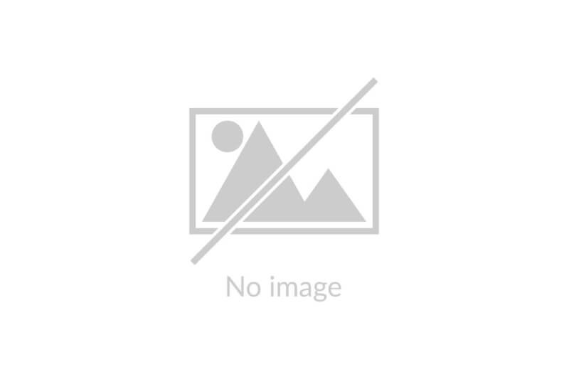 Income Assets & Portfolio Management